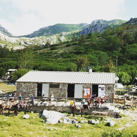 Stone refuge with mules tied outside in green mountain landscape, Refuge de Manganu.