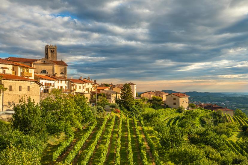 Goriška Brda image 1