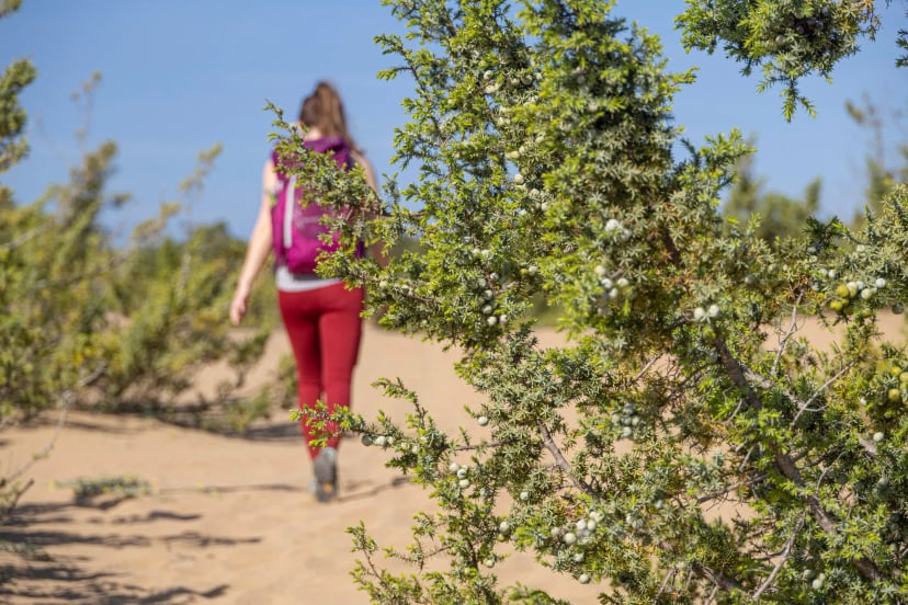 Wanderin unterwegs auf dem Korfu-Trail