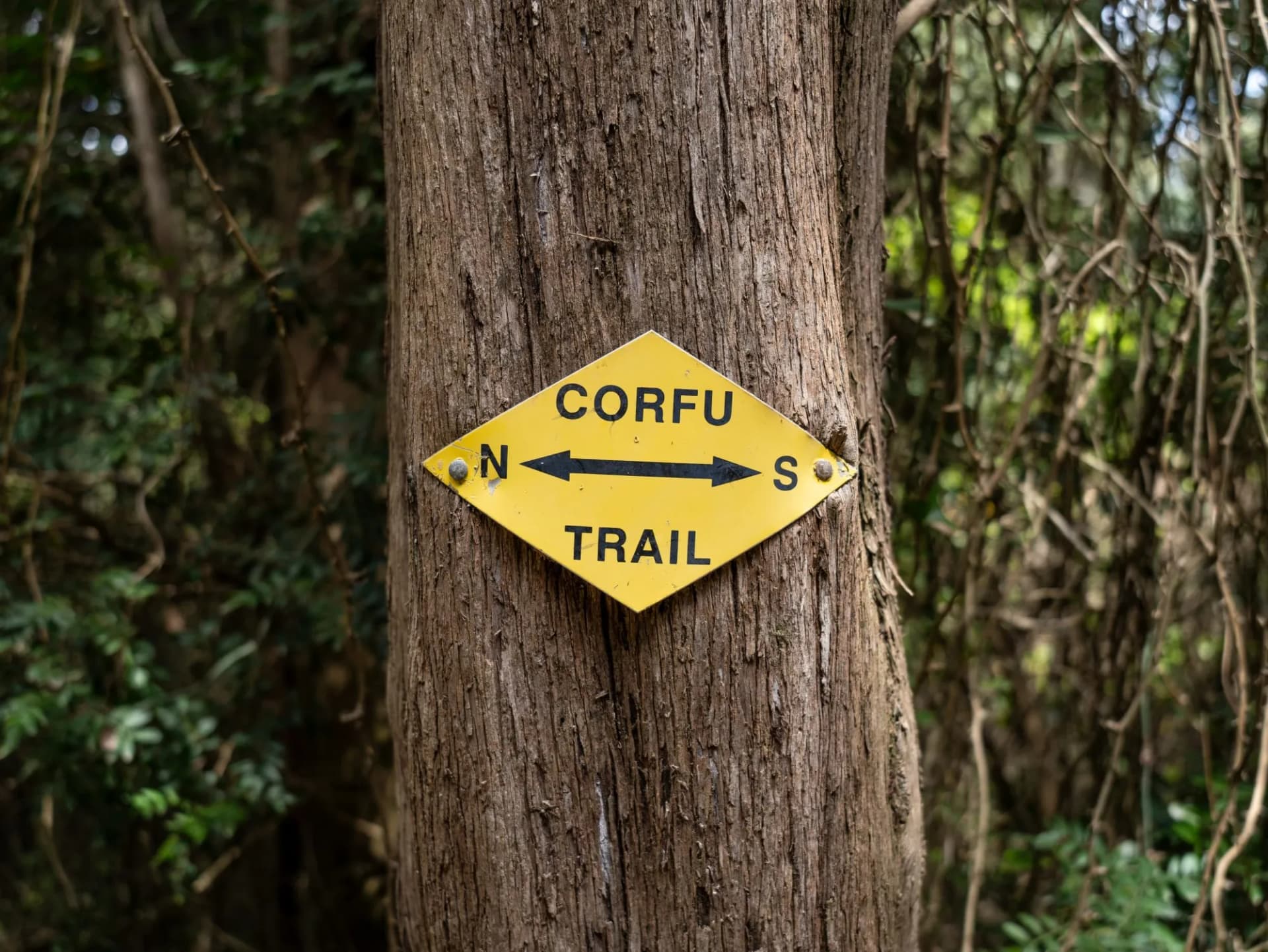 A yellow Corfu Trail sight on the Arkoudilas path on the Island of Corfu in Greece.
