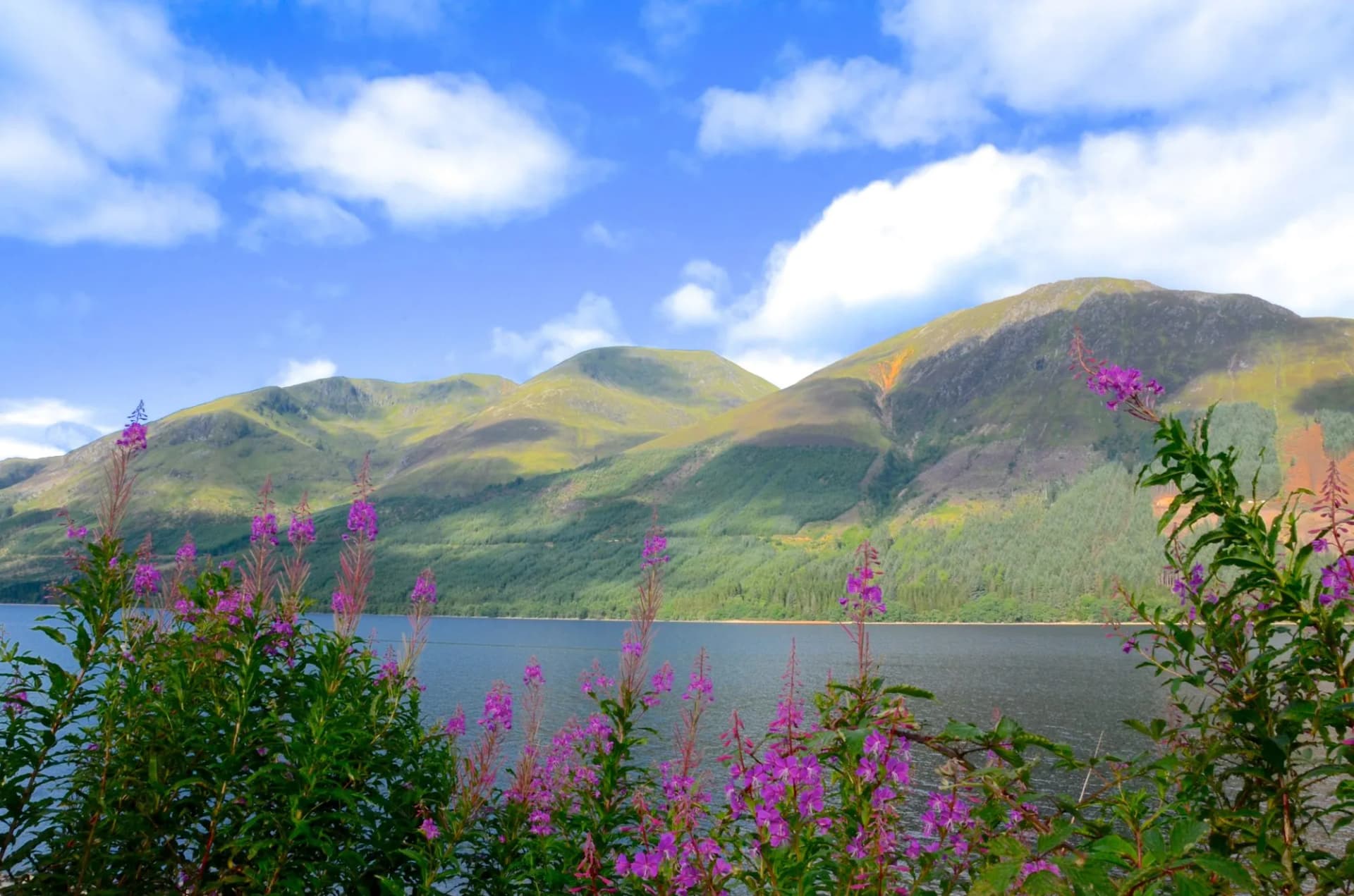 Lochy Lochy, Lochaber, Scotland
