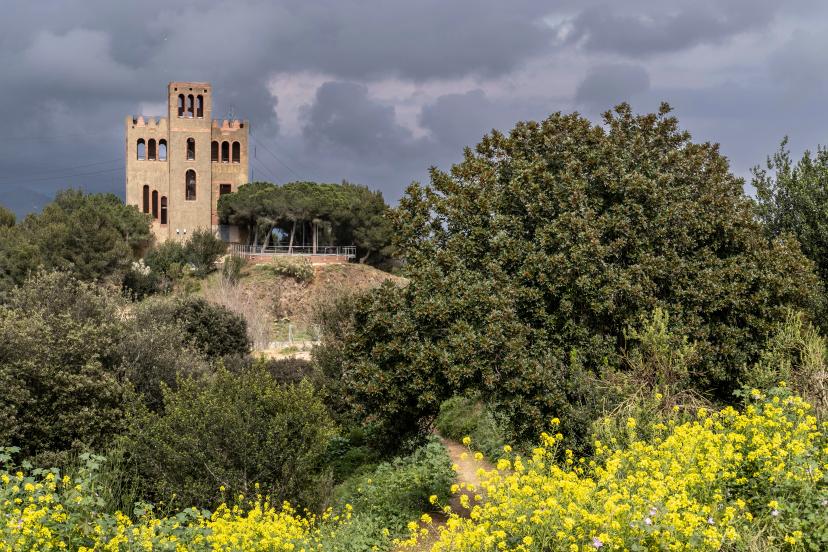 Collserola Natural Park image 1