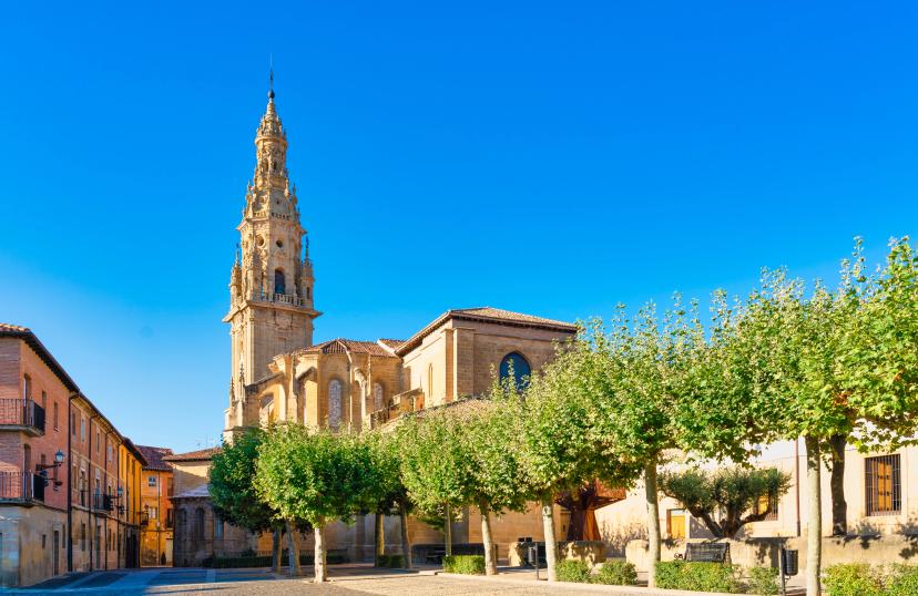 Santo Domingo de la Calzada Cathedral image 1