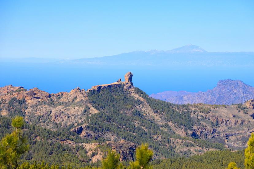 Pico de las Nieves image 1