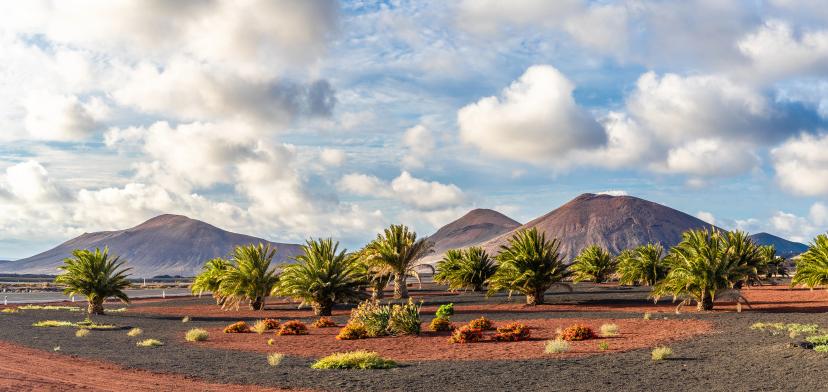 Timanfaya National Park image 1