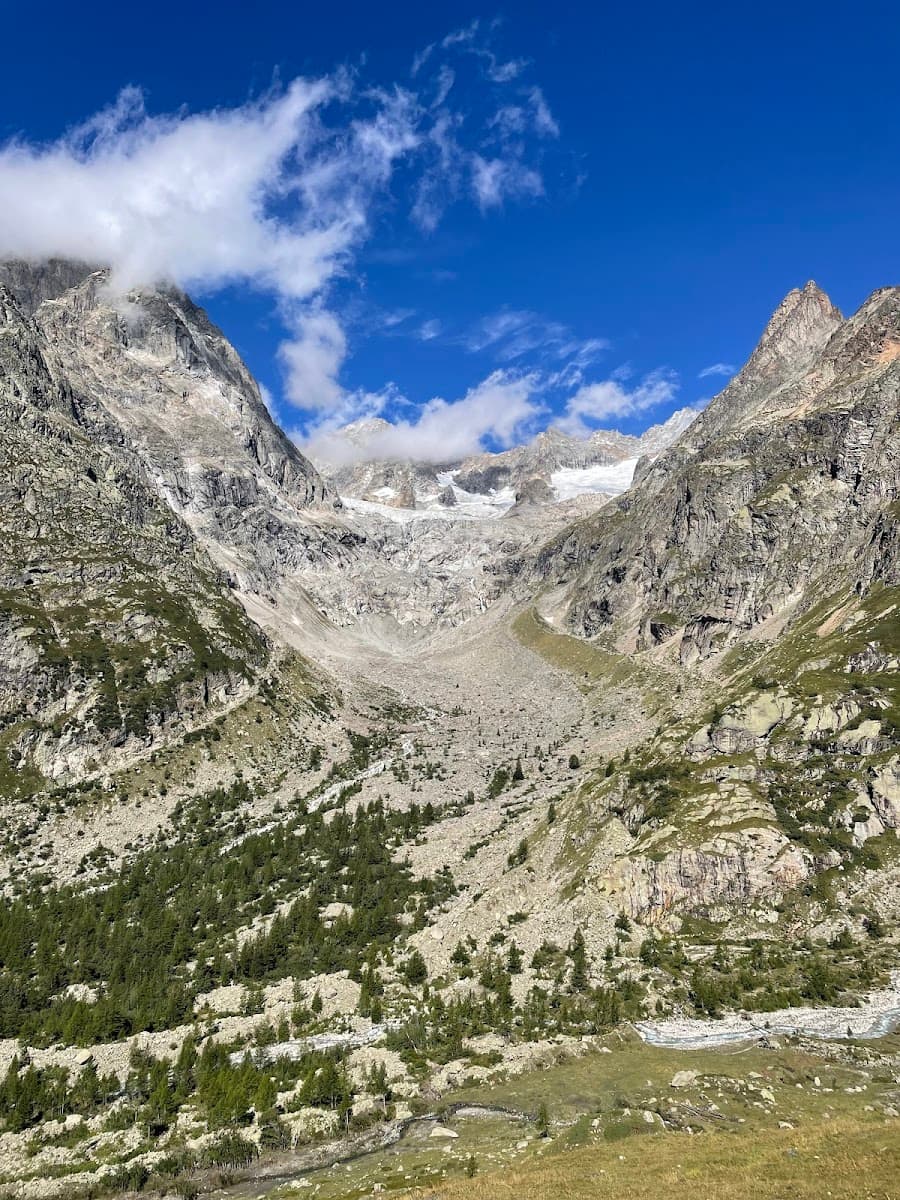 Rocky mountain valley with glacier remnants, scattered trees, and a stream under a bright blue sky.