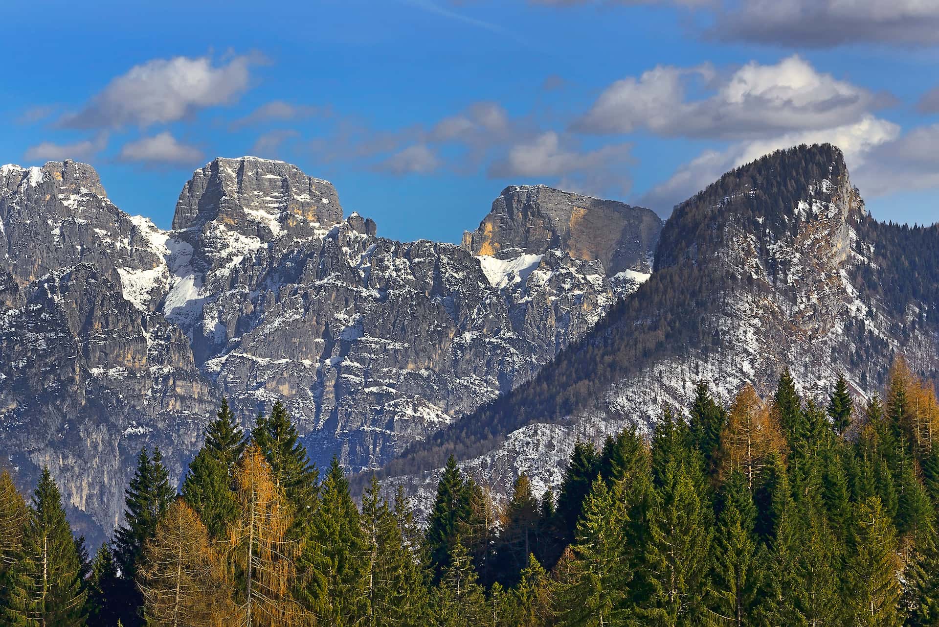 Snow-dusted rocky mountains above a dense evergreen forest under a blue sky.