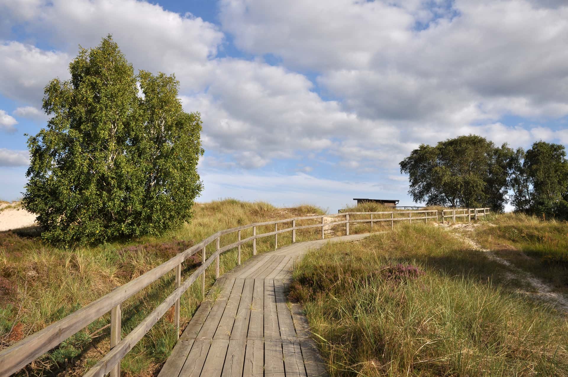 Wooden boardwalk with railing through grassy dunes under a cloudy blue sky.