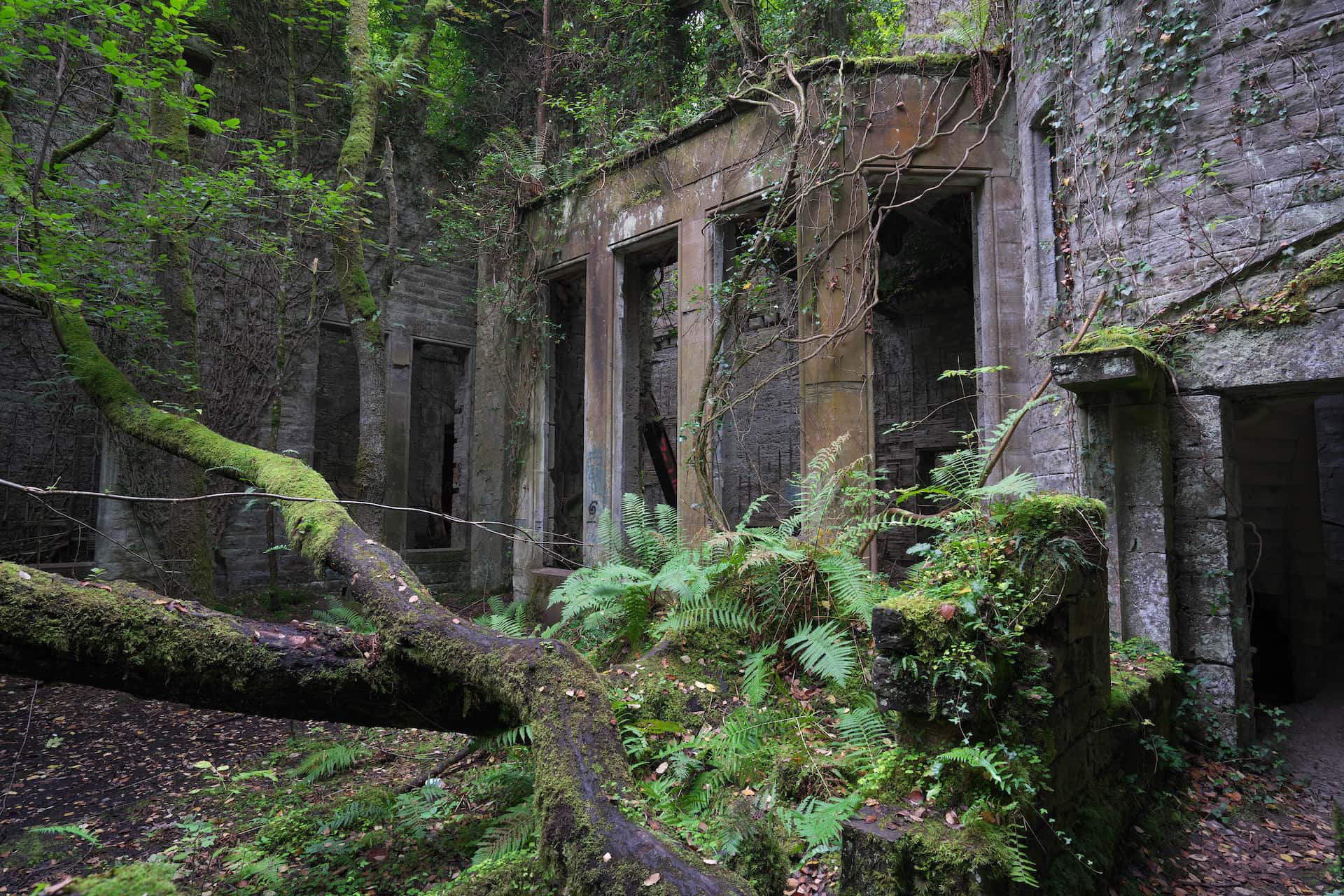 Overgrown ruins of a stone building being reclaimed by lush green moss, ferns, and forest.