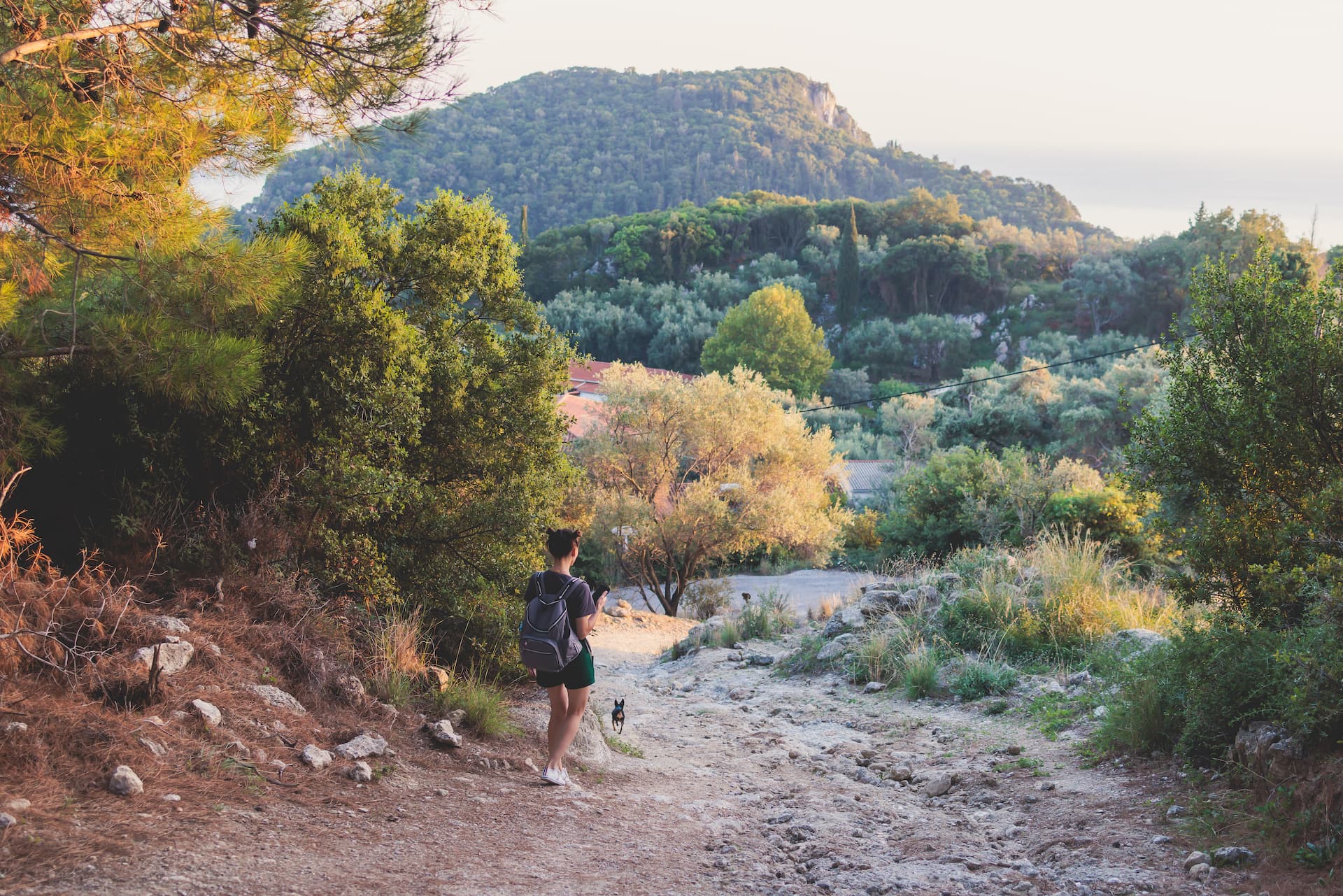 Hiker with backpack and dog on dirt path overlooking lush, sunlit coastal hills and sea.