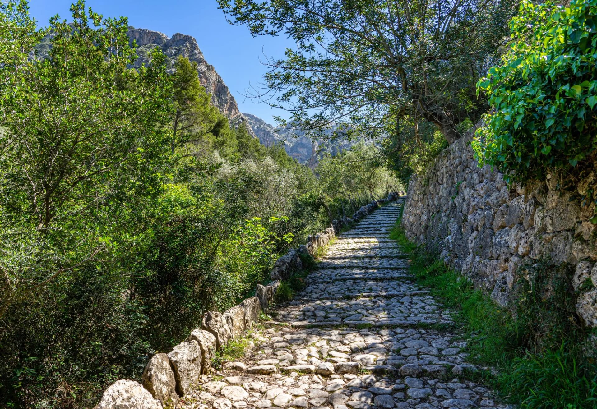 Hiking path with stone steps up a gorge, flanked by stone walls and lush greenery near Sóller.