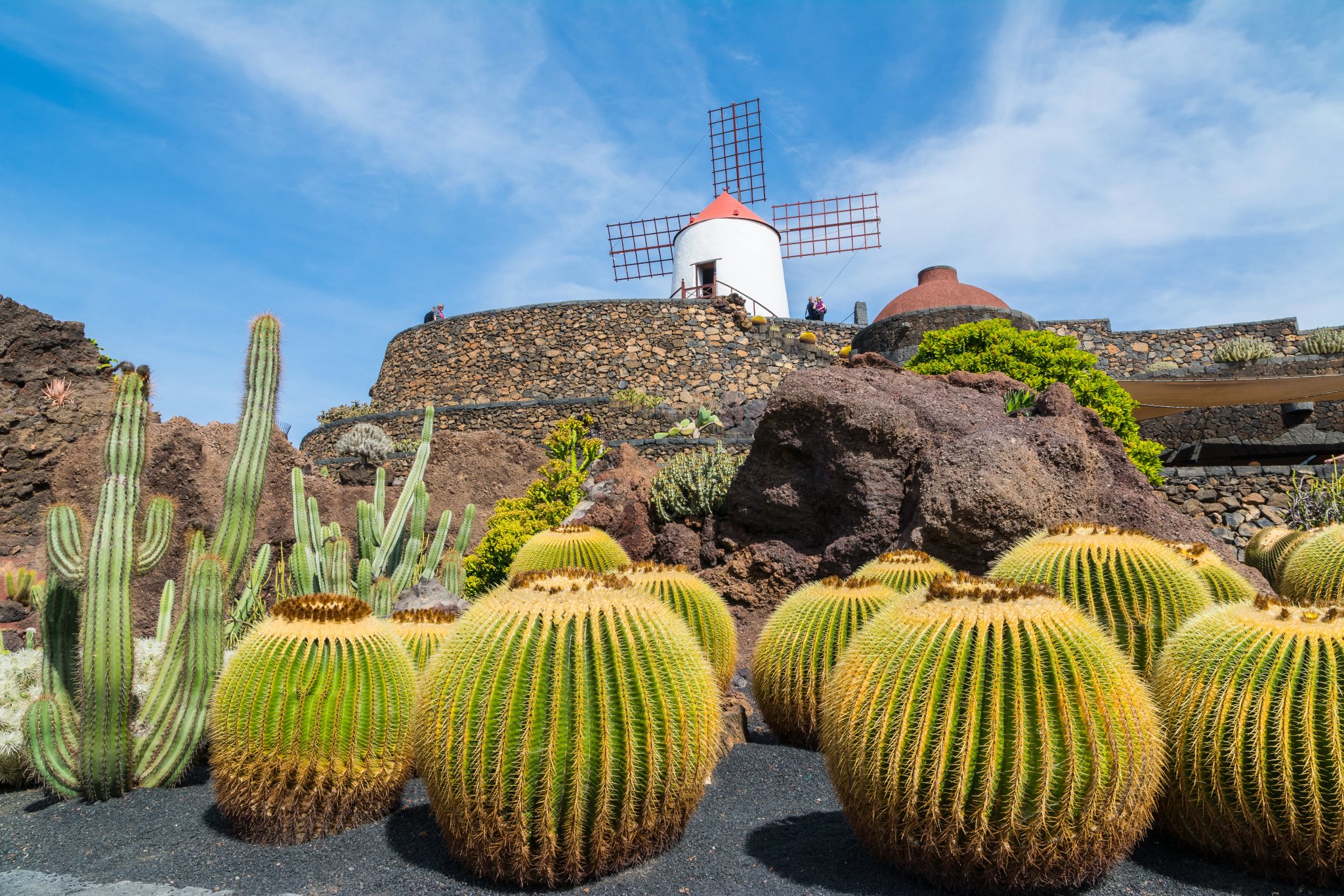 Vista del giardino di cactus nel villaggio di Guatiza, Lanzarote, Isole Canarie, Spagna