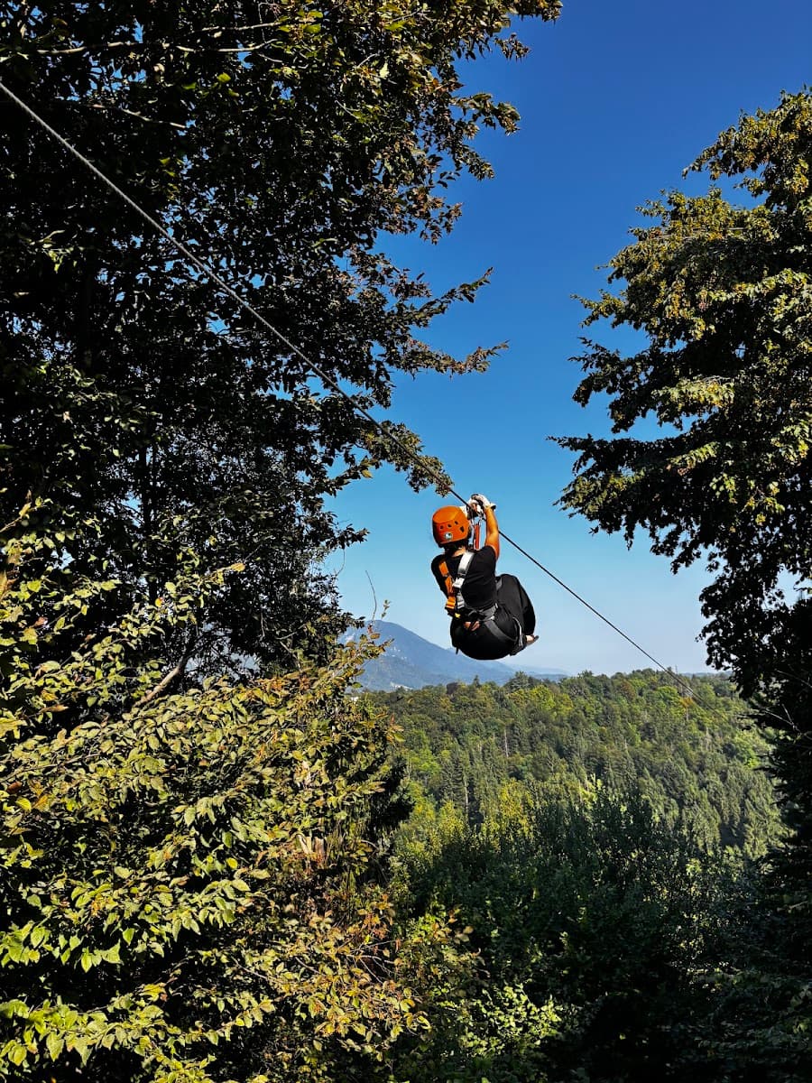 Person zip-lining through forest canopy with mountain in background under blue sky
