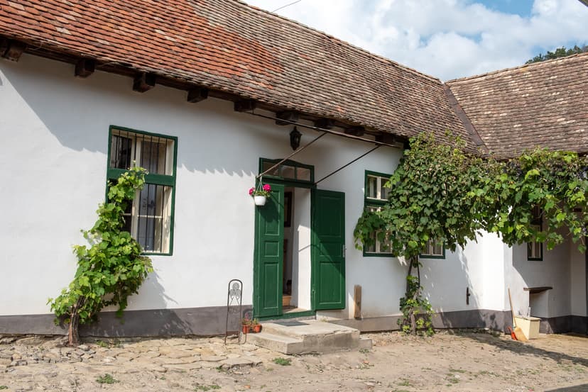 White stucco house with green shutters, terracotta roof, and grapevines outside in Transylvania.