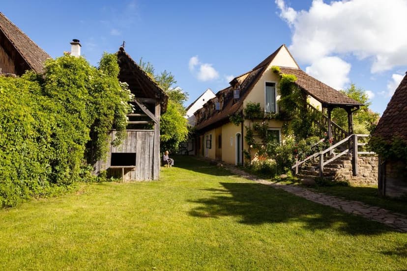 Yellow farmhouse with climbing vines and wooden outbuilding on sunny green lawn in Viscri.