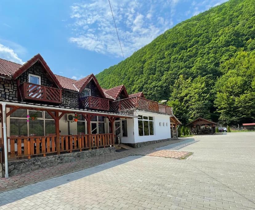Pensiunea Dany building with wooden balconies against a steep, forested mountain under blue sky.