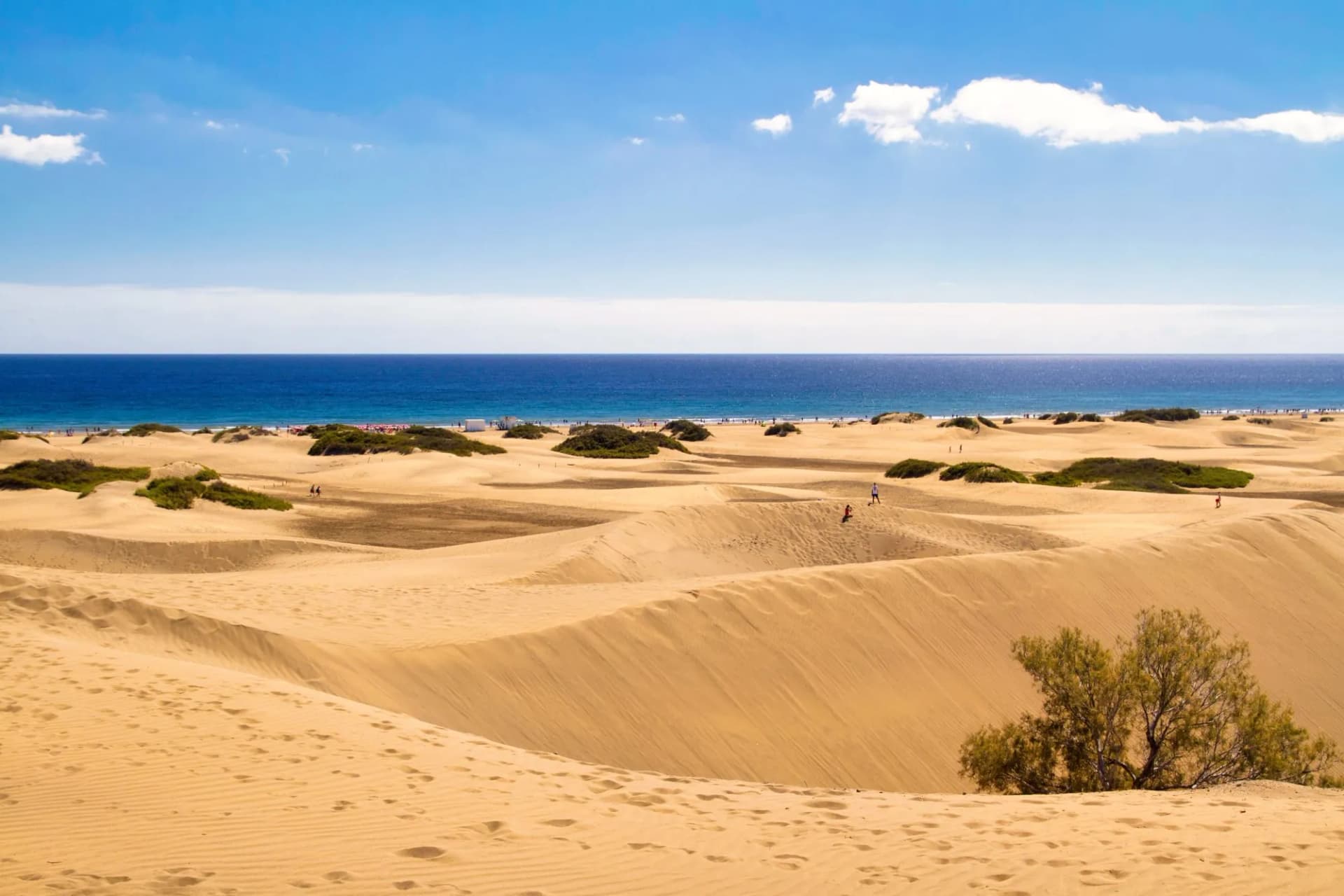Dunas de Maspalomas
