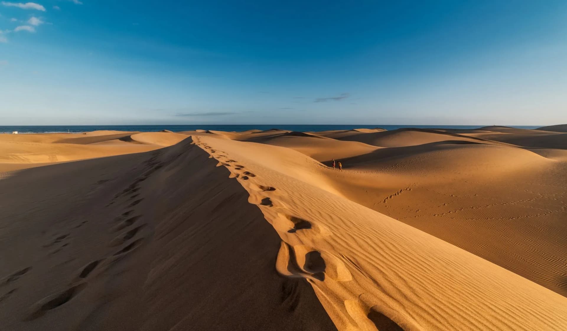 dunes of maspalomas