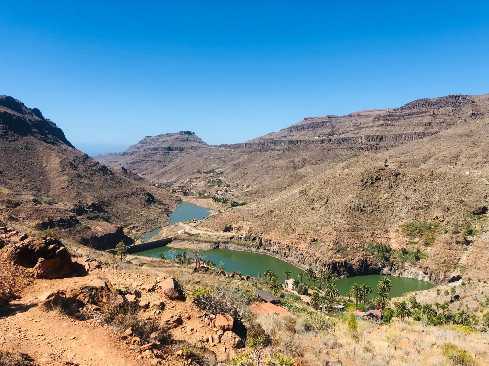 oasis on the way to San Bartolomé de Tirajana