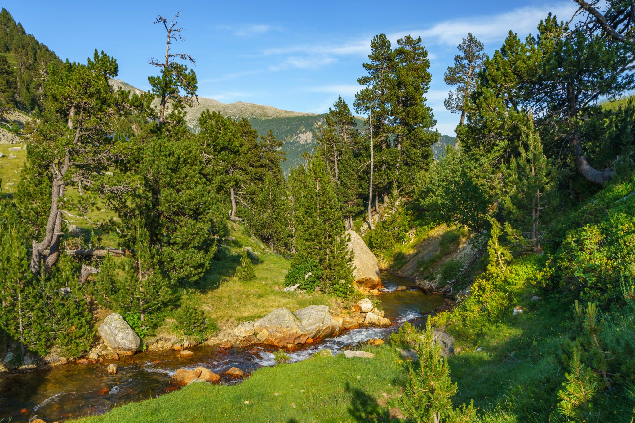 Rivier in Valle de Boi, Parc Nacional d'Aigüestortes i Estany de Sant Maurici