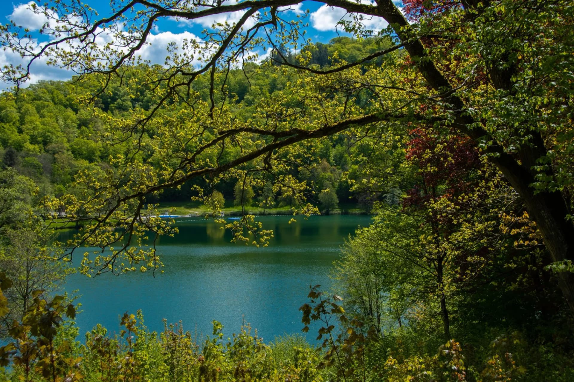 The view of the "Gemündener Maar" near Daun in beautiful spring weather