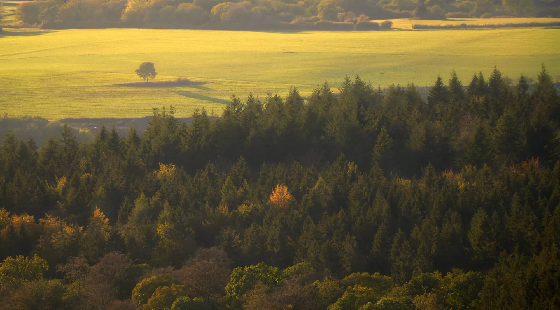 meadow sunrise Dietzenley
