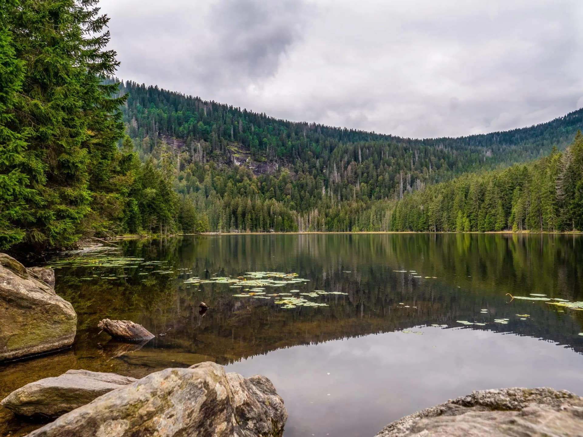 Großer Arbersee im Bayerischen Wald bei bewölktem Himmel