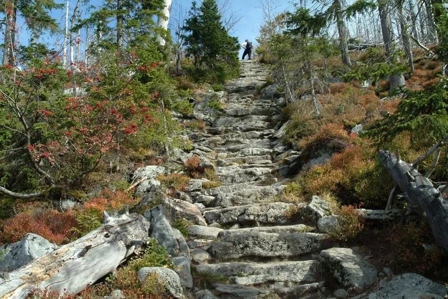 Stone staircase ascending a forested mountain slope with autumn foliage and a hiker.