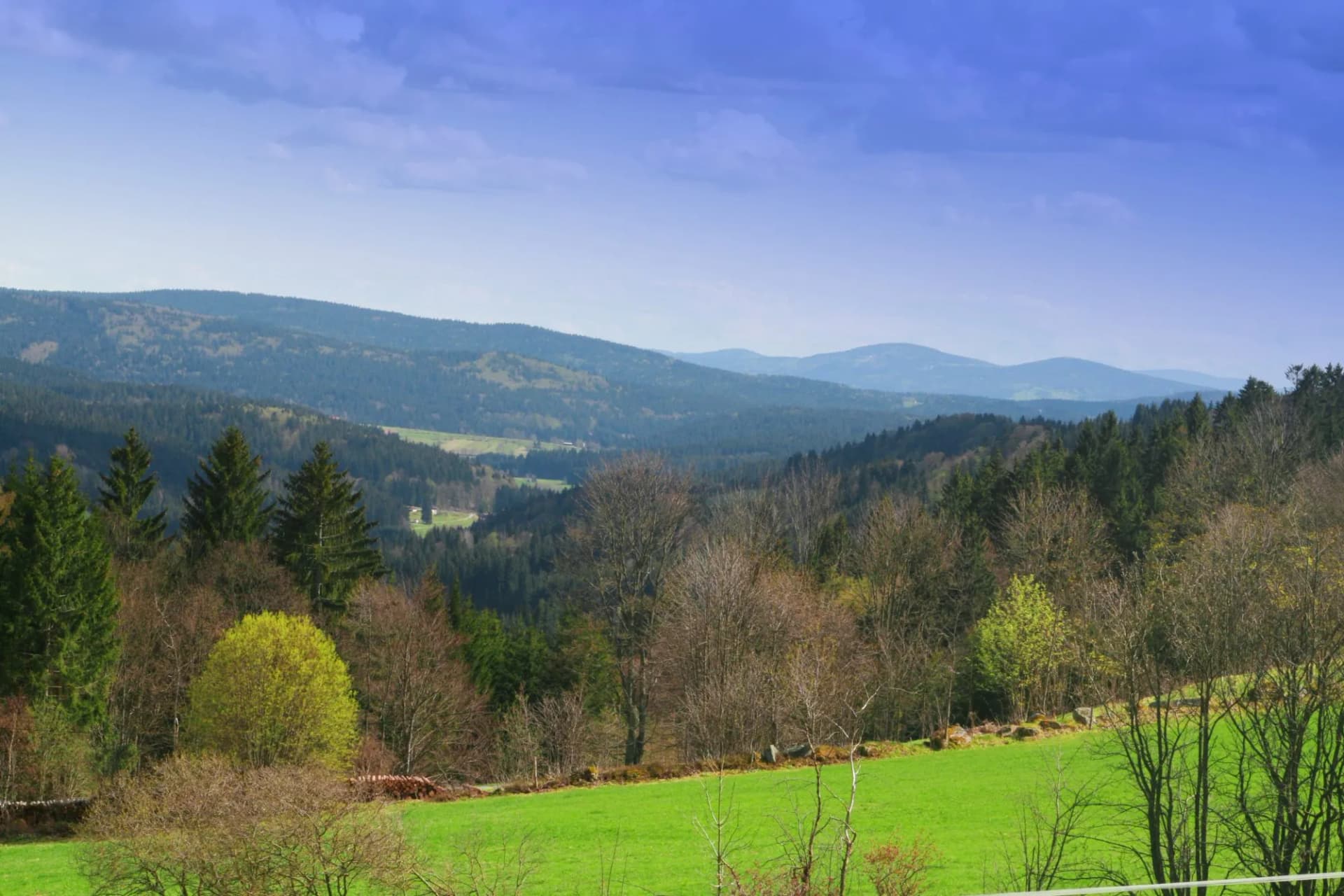Bayerischer Wald