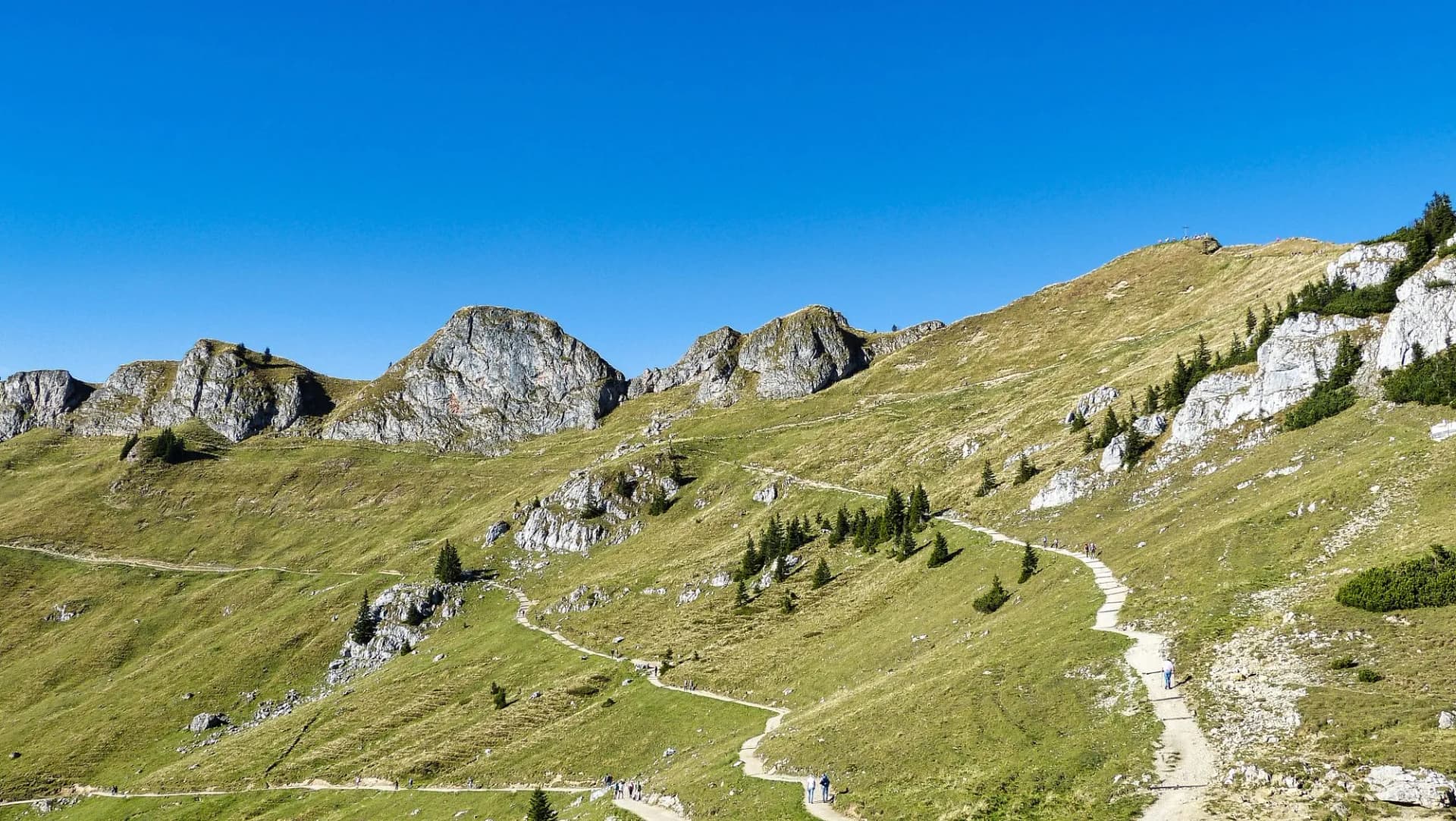 Hiking trail winding up grassy slope toward rocky peaks under clear blue sky, Rotwand.
