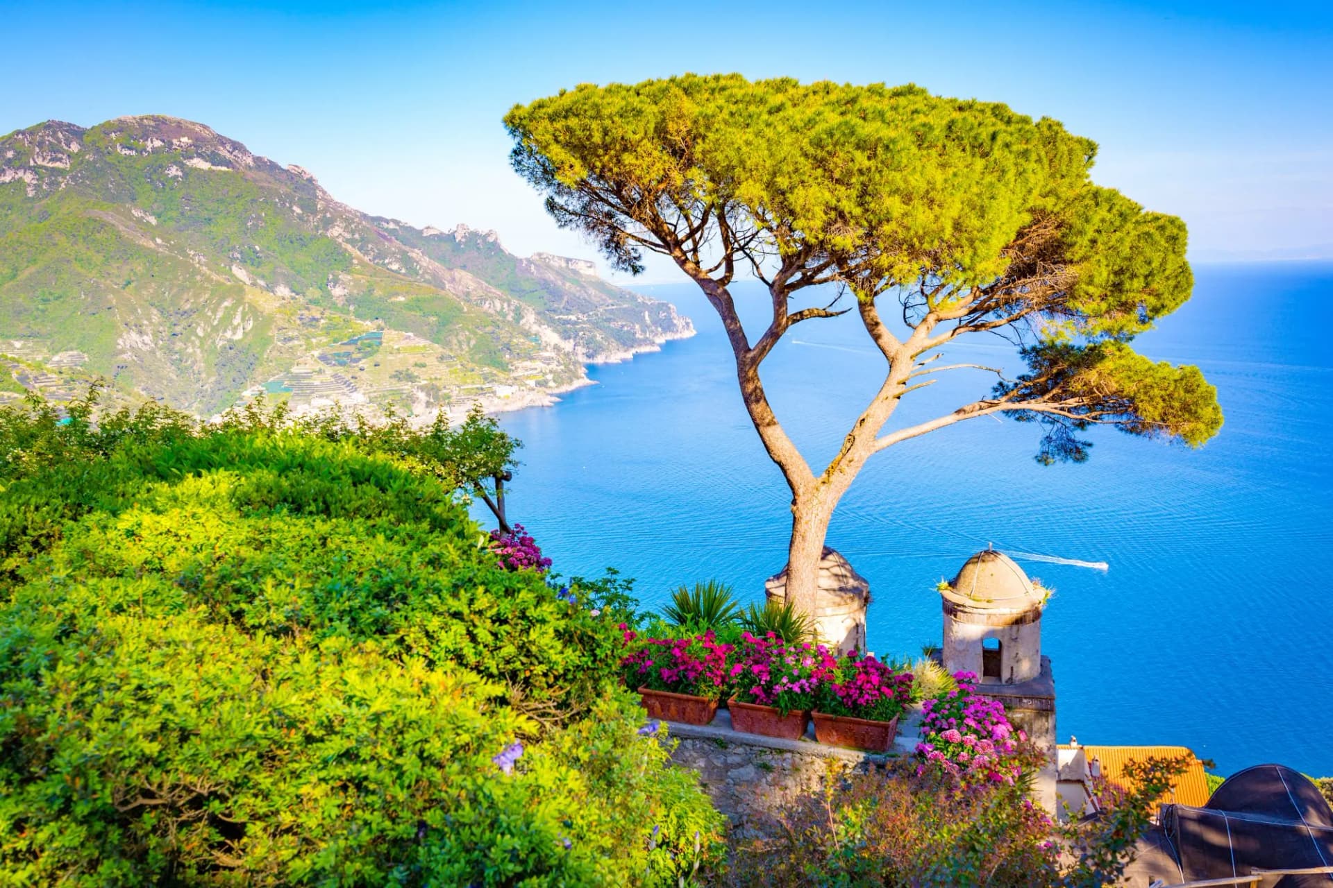 Pine tree overlooking bright blue sea, mountains, and terraced coastline in Ravello on Amalfi Coast.