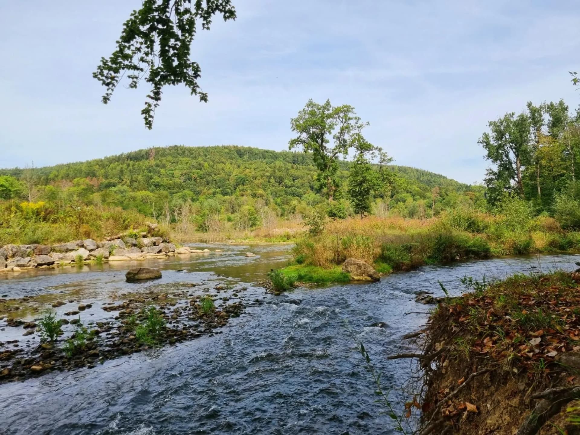 rhine river walking day schluchtensteig