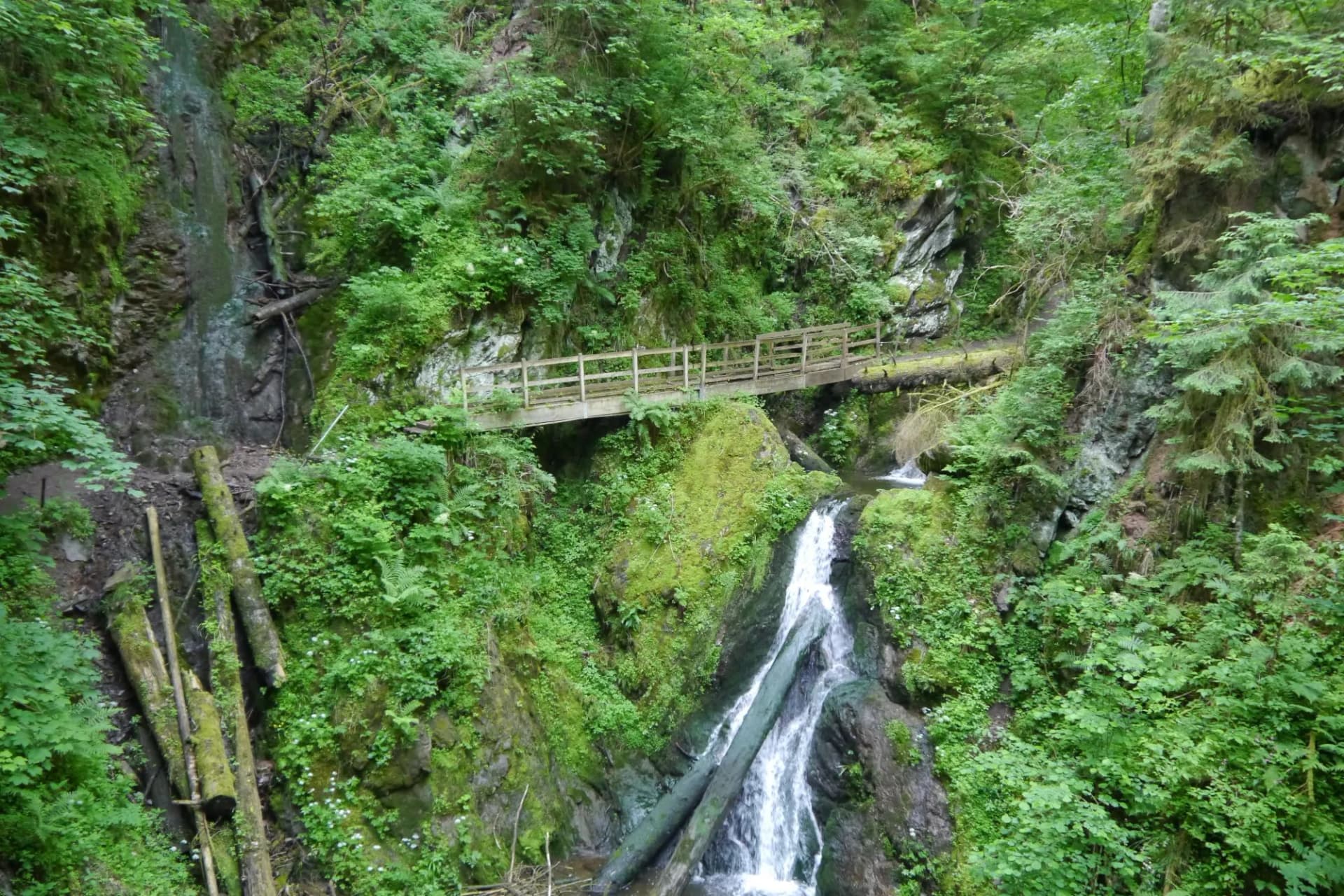 Wooden bridge over waterfall in lush green Wutachschlucht canyon with mossy rocks.