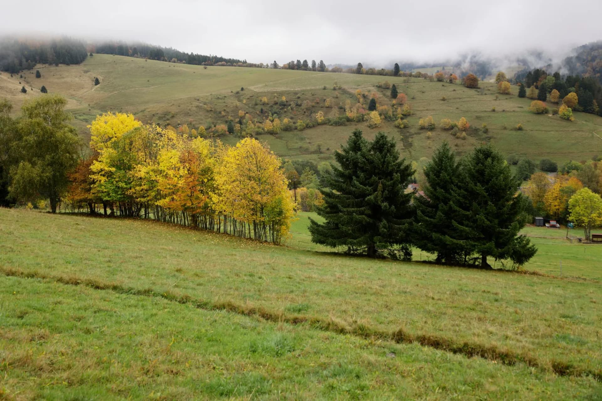 Blick in den Südschwarzwald bei Todtmoos