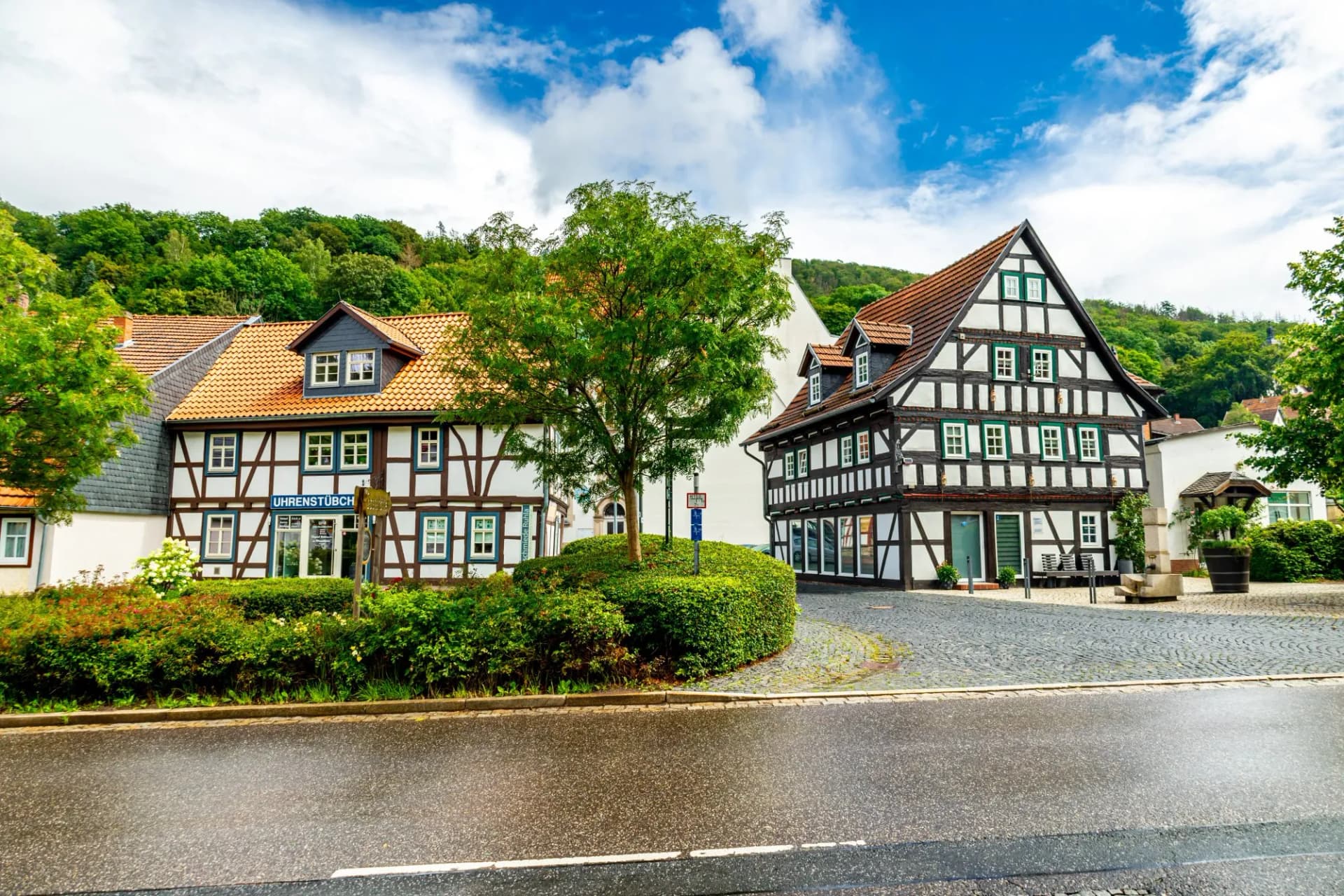 Sommerwanderung auf dem Höhenweg des Thüringer Waldes bei Ruhla - Thüringen - Deutschland