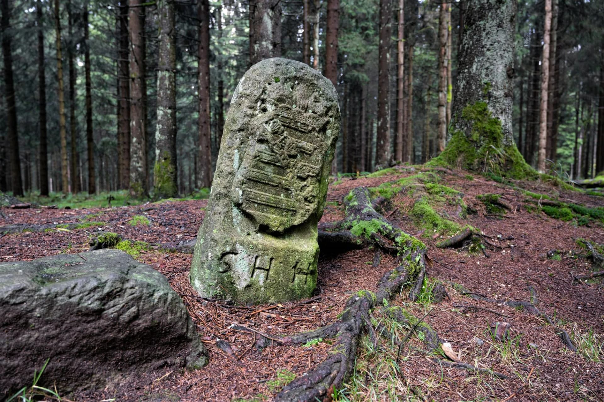Alter Grenzstein am Rennsteig in der Nähe zum Dreistromstein bei Siegmundsburg , wo sich eine dreiseitige Wasserscheide befindet und das Wasser in den Rhein, die Weser und die Elbe abfließt.