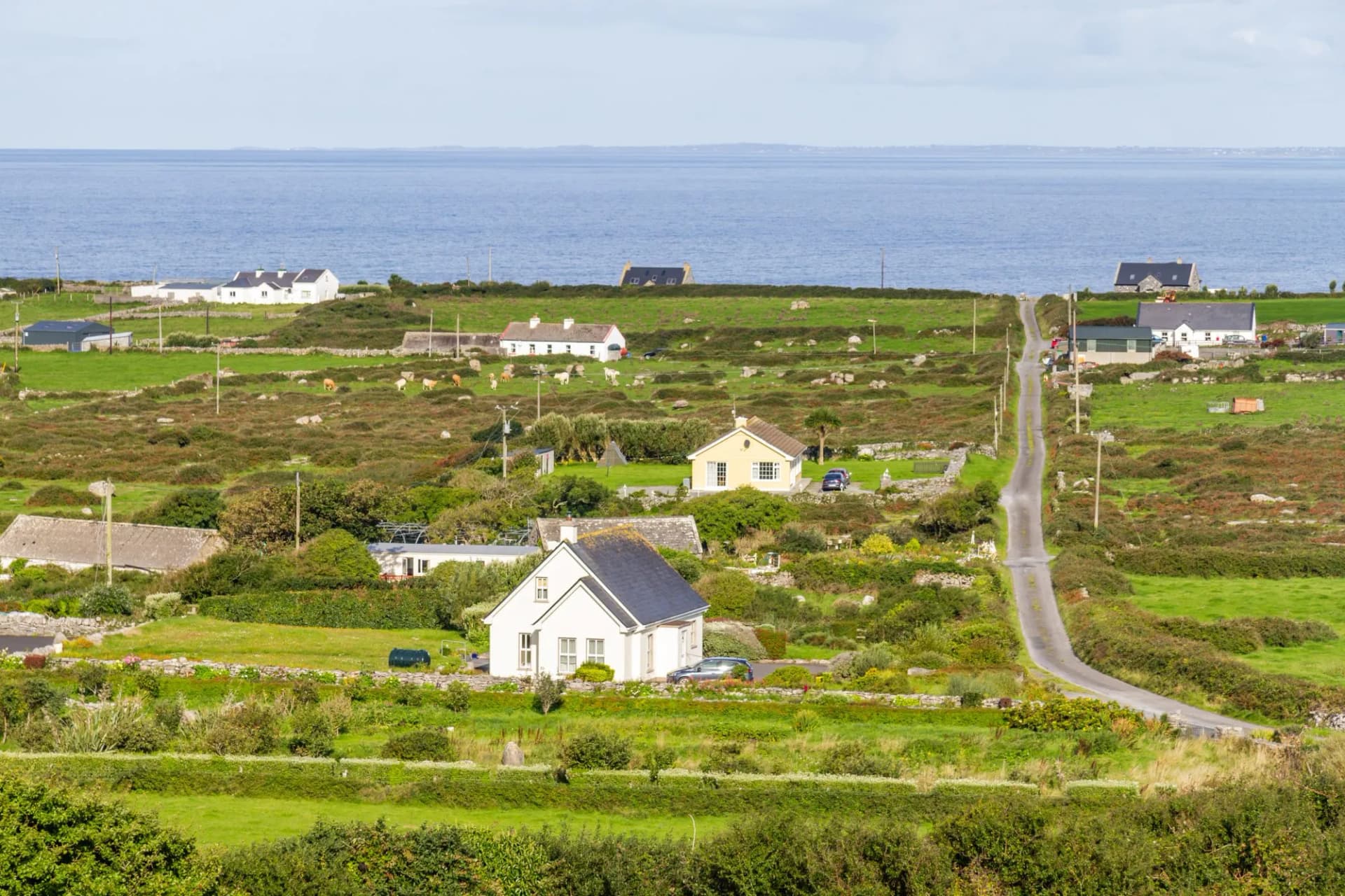 Farms and houses in the Fanore village