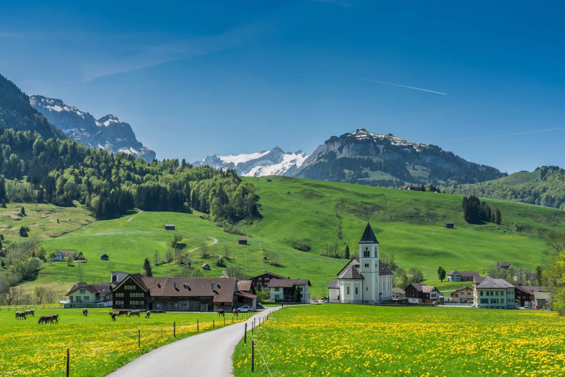 Swiss, Appenzell, Weissbad valley view