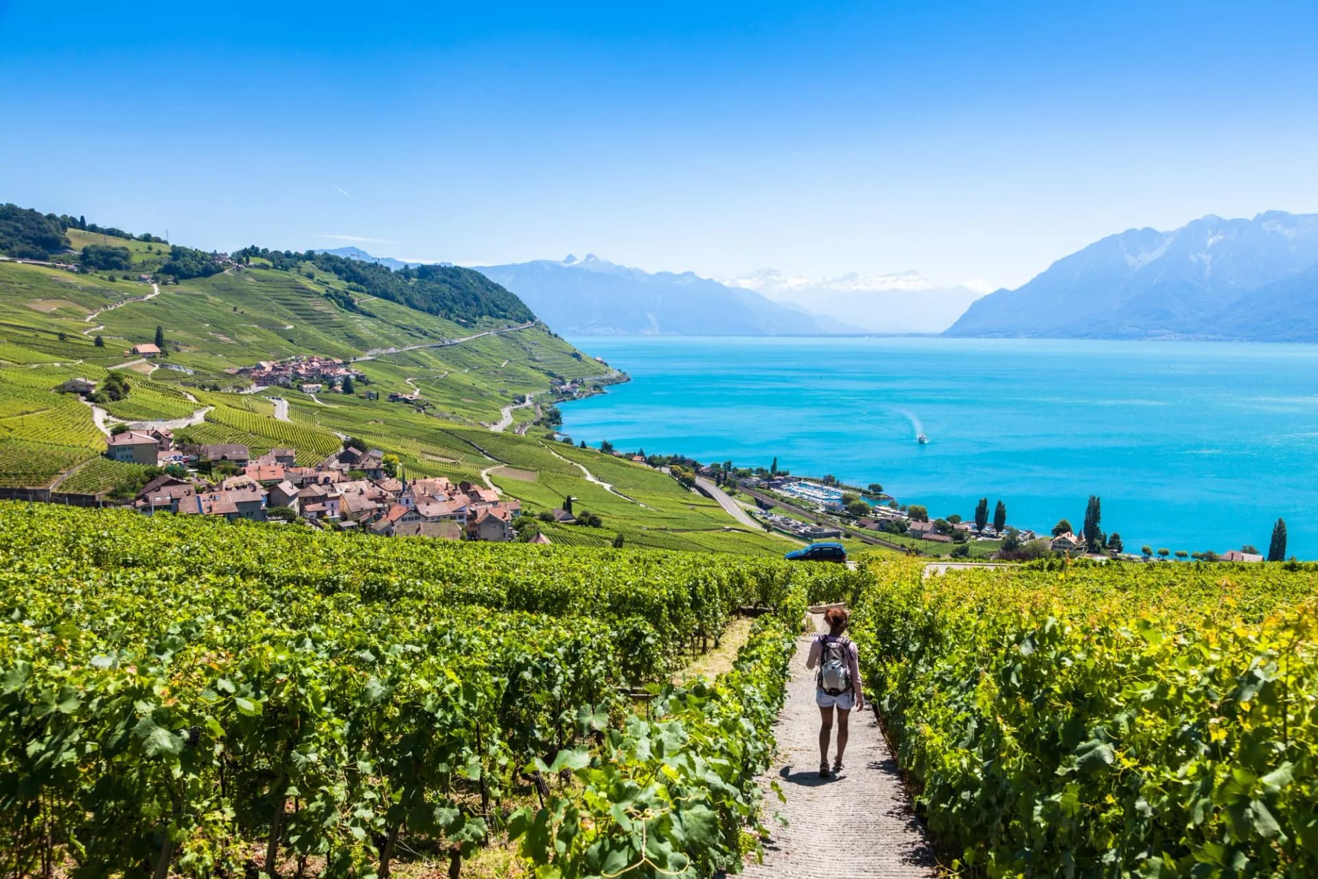 Montreux city with Swiss Alps, lake Geneva and vineyard on Lavaux region, Canton Vaud, Switzerland, Europe.