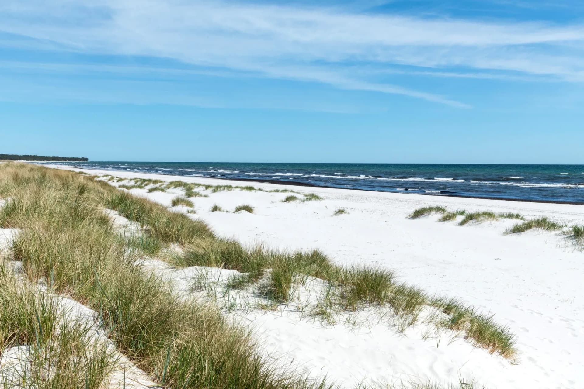 White sand dunes with marram grass meeting the blue sea under a clear sky at Dueodde Beach.