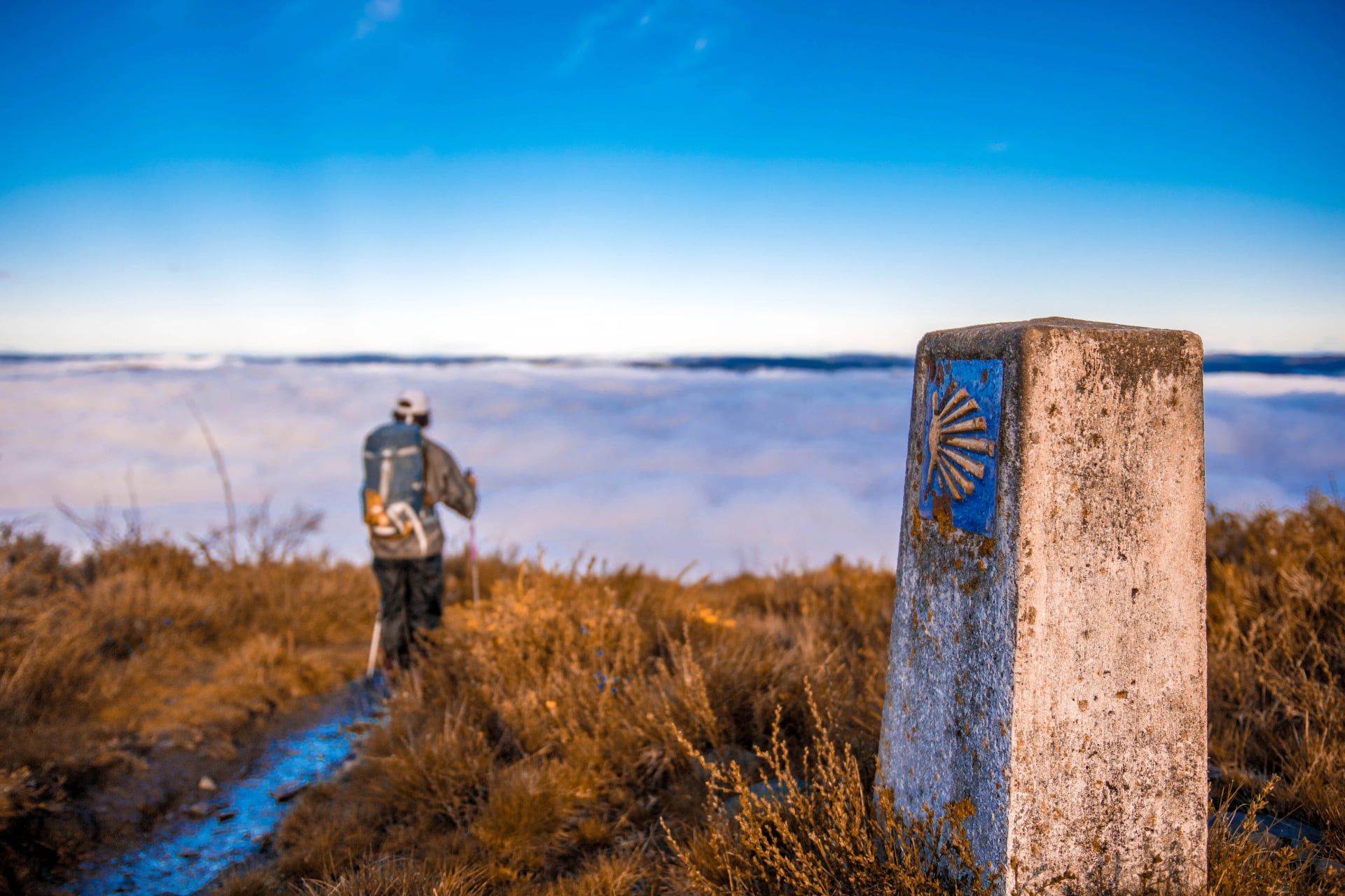 Peregrino recorriendo el camino primitivo de santiago sobre un mar de nubes y con la concha en primer plano