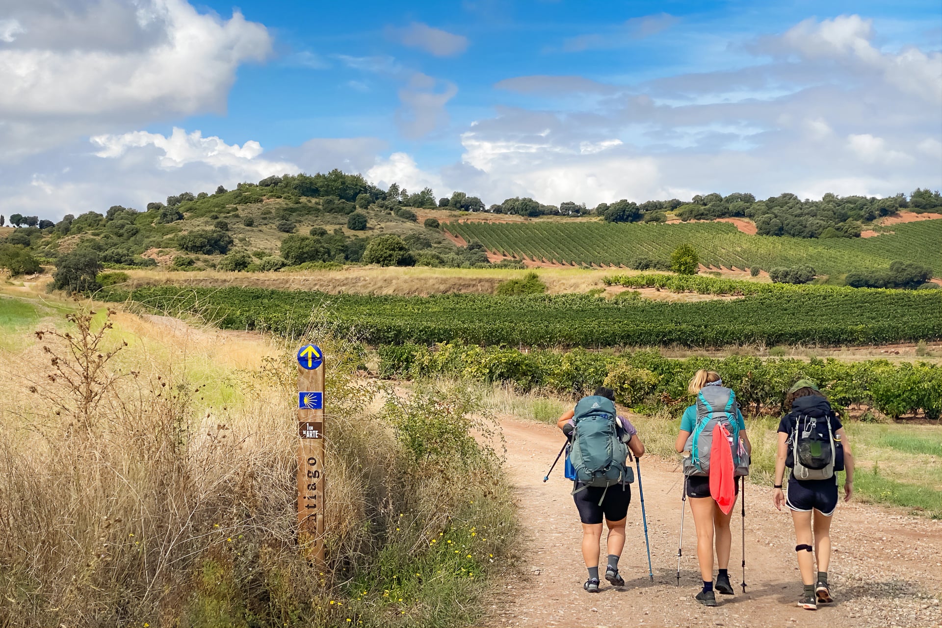 Pilgrims with Hiking Gear Walking past Vinyeards of La Rioja along the Way of St James Pilgrimage Trail Camino de Santiago