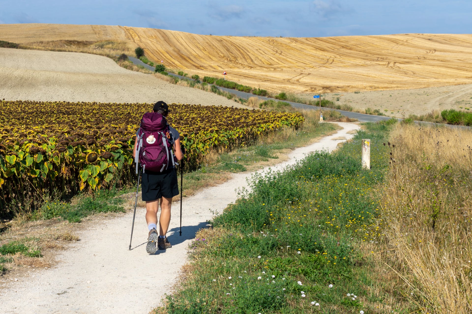 Person walking on the Camino de Santiago - Way of St. James - Pilgrimage