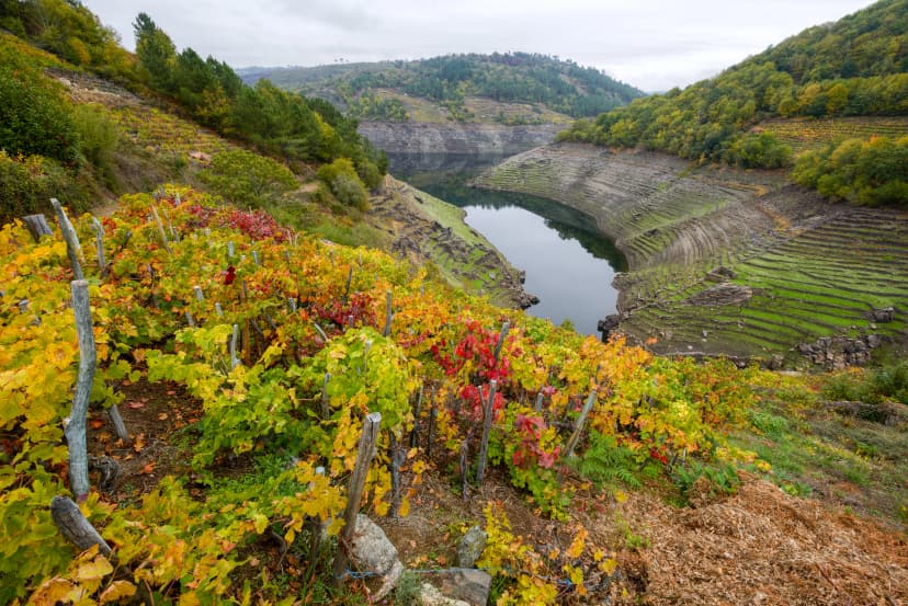 Ribeira Sacra and its hillsides covered with vineyards
