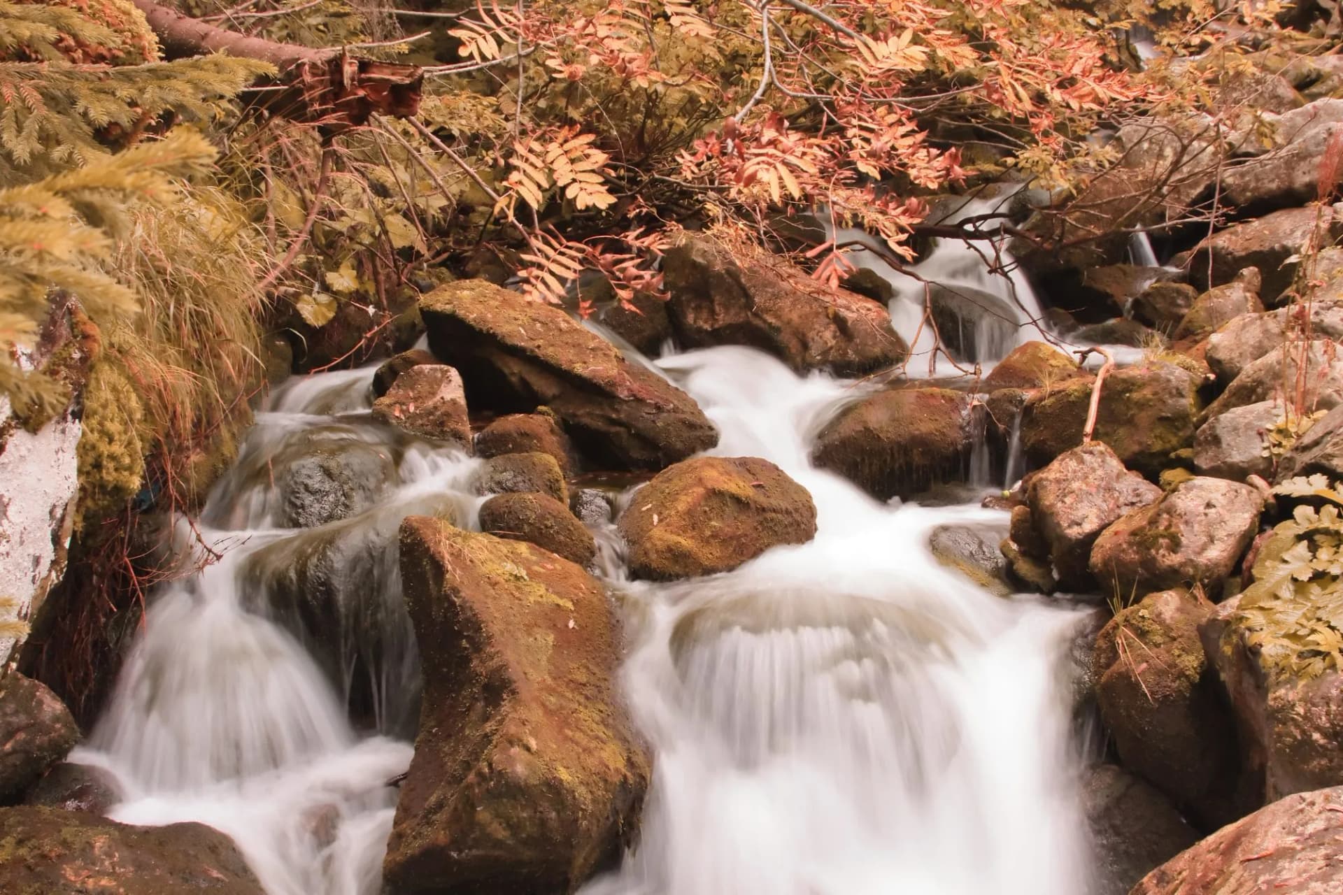 Stanisoara river in Retezat mountains, Romania.