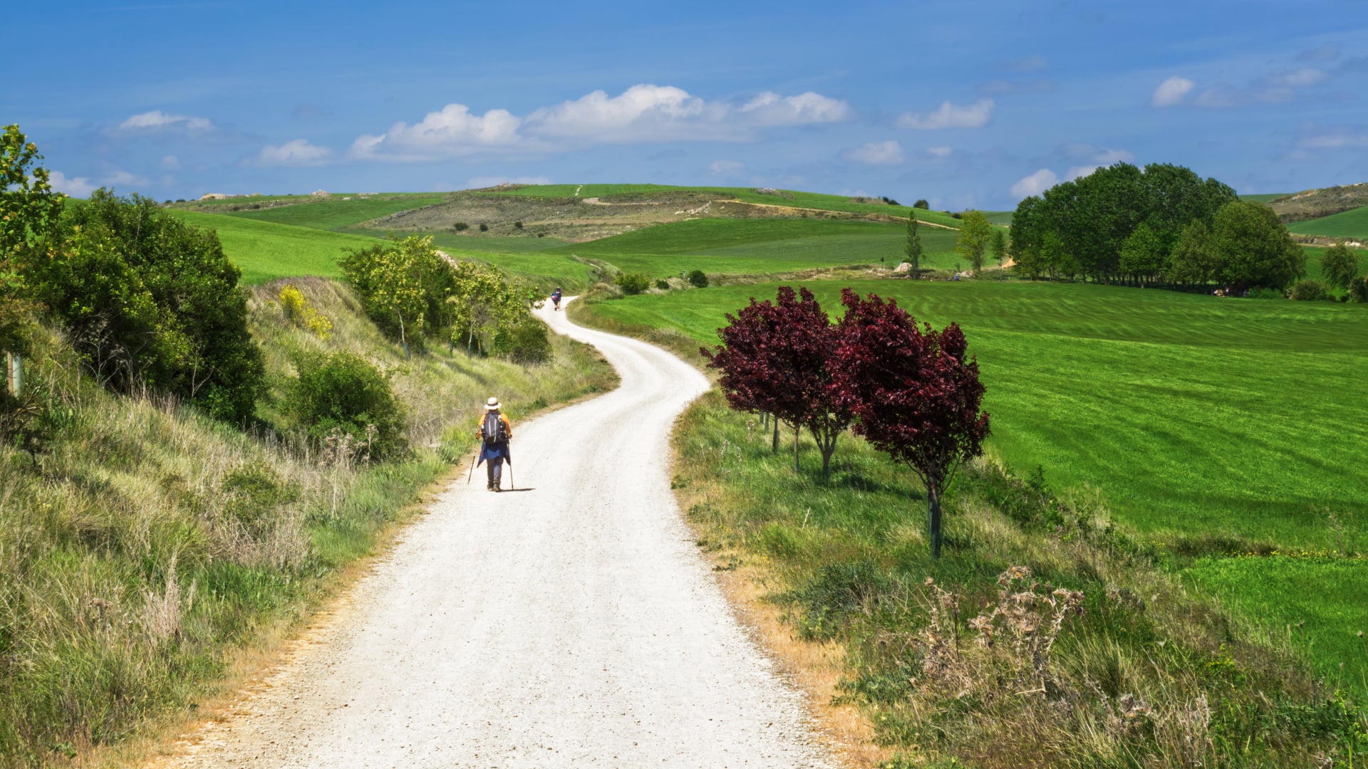 Pilgrims walking along the road to Santiago, way of saint james, Spain