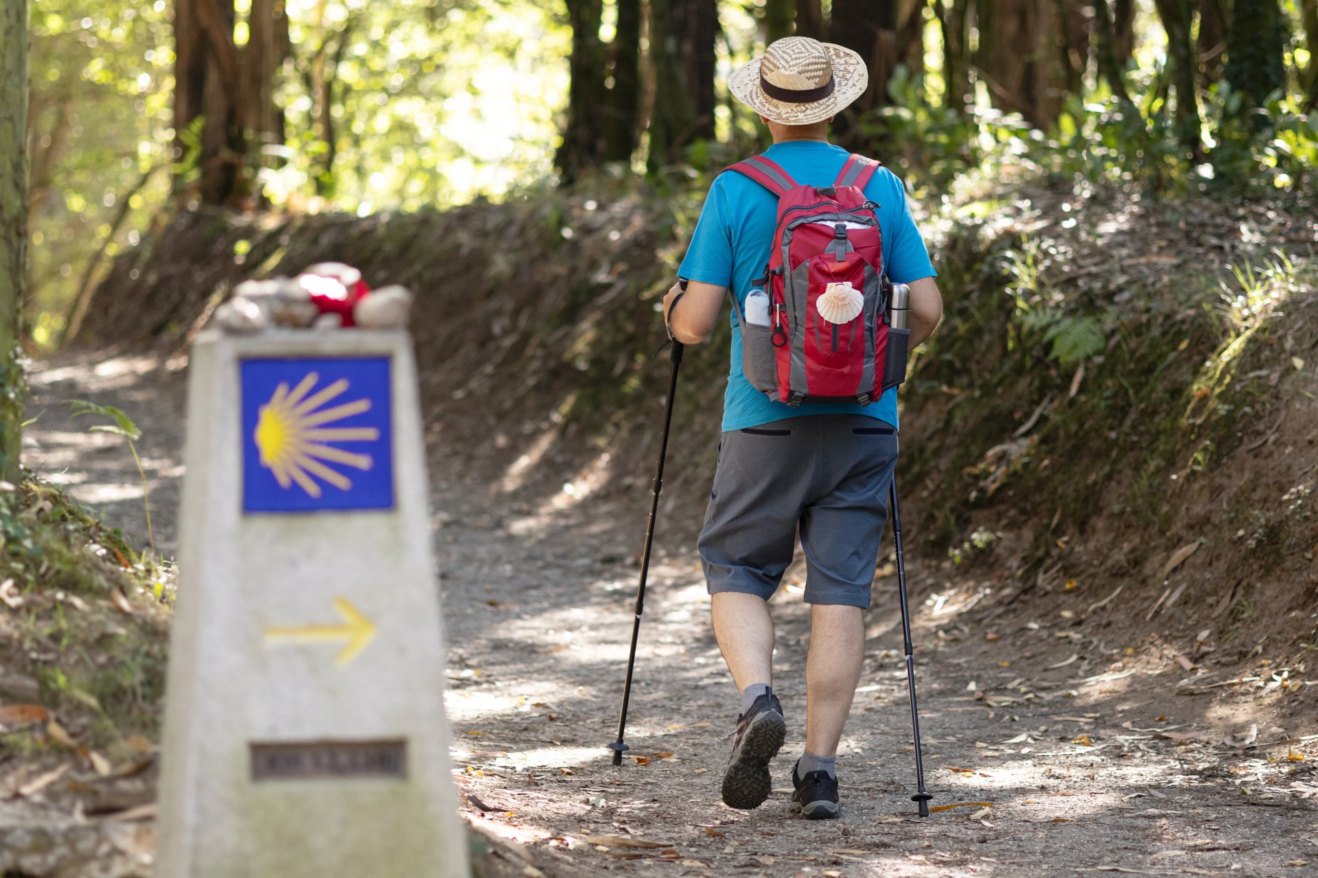 A pilgrim walks towards Santiago de Compostela in a forested area of the Camino de Santiago, guided by milestone sign with a yellow scallop shell and arrow indicating the way