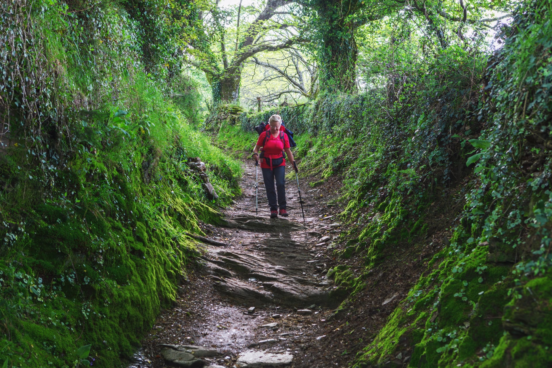 Pilgrim walking along the road to Santiago, through the lands of Galicia, Way of Saint James