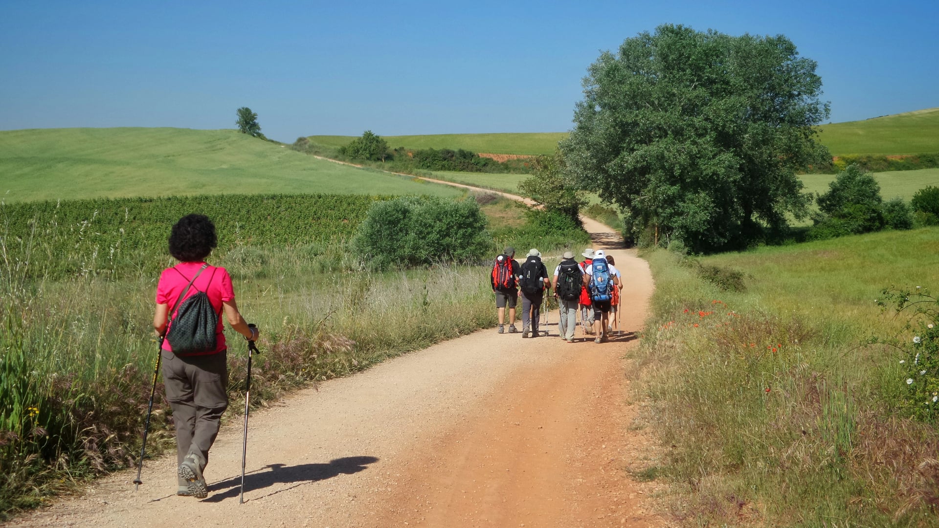 Group of pilgrims walking along the Camino de Santiago in Spain