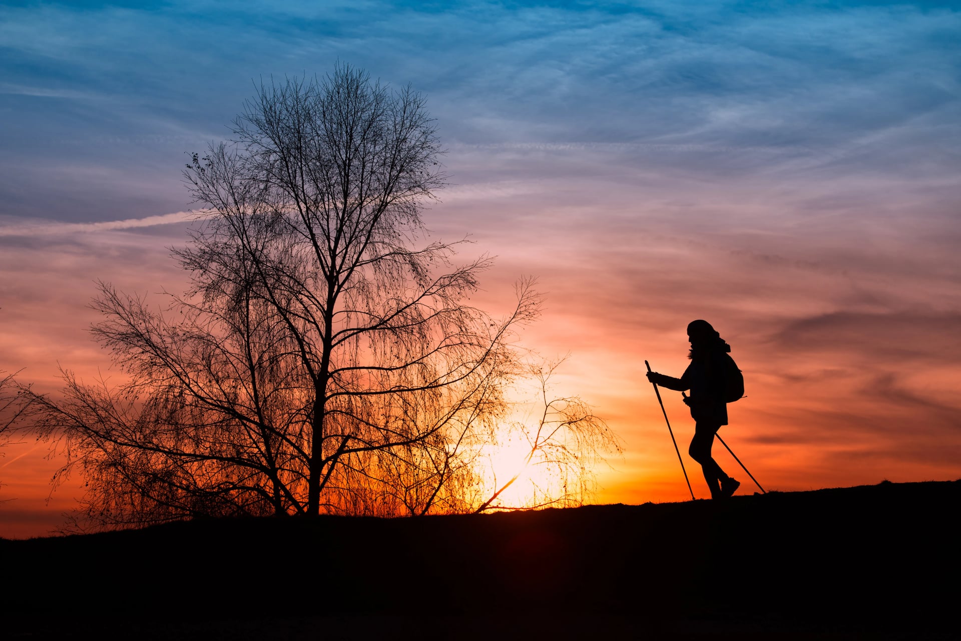 Excursion of the pilgrimage to Santiago de Compostela of a lonel